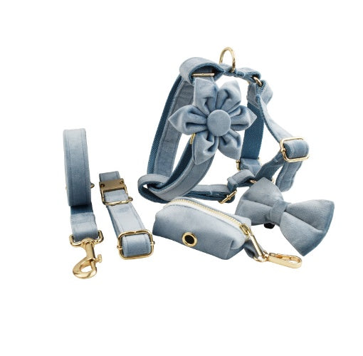 Aureli™ Collection Premium en Velours pour Animaux