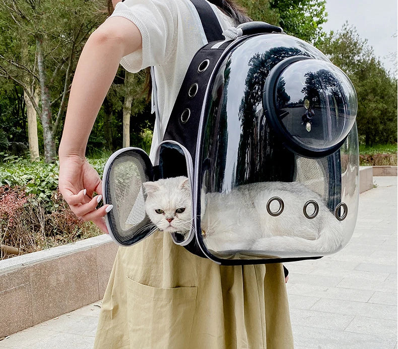 Toto™ Capsule Backpack