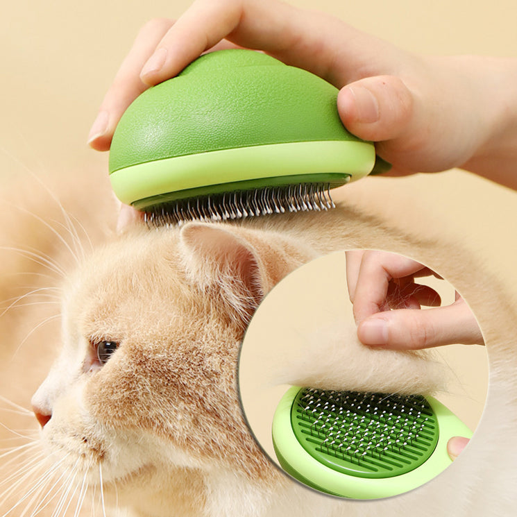 Brosse de toilettage Avy™ Palm Groom