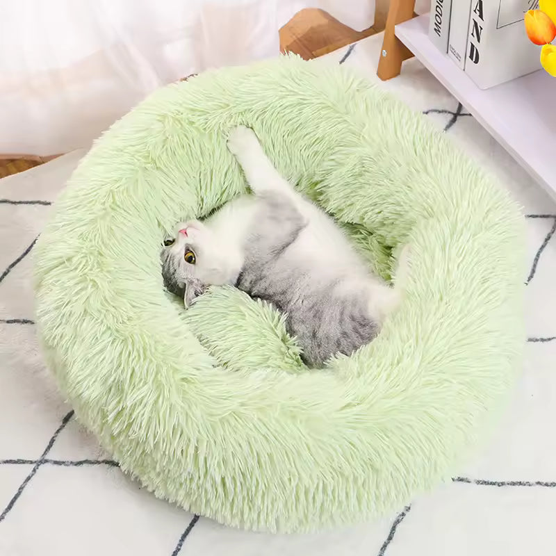 Milo™ Deep Nest Pet Bed + FREE Gift 🎁