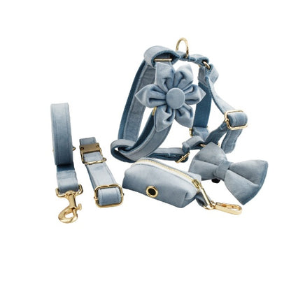 Aureli™ Collection Premium en Velours pour Animaux
