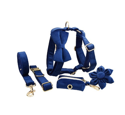 Avioré™ Collection Premium en Velours pour Animaux