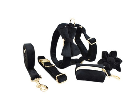 Avioré™ Collection Premium en Velours pour Animaux