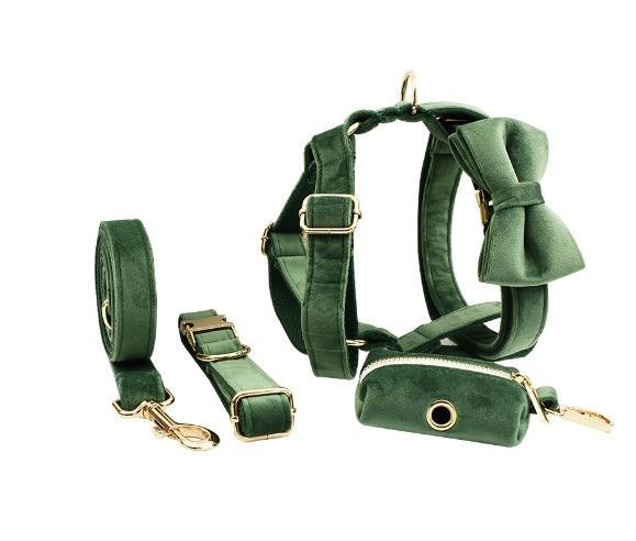Avioré™ Collection Premium en Velours pour Animaux