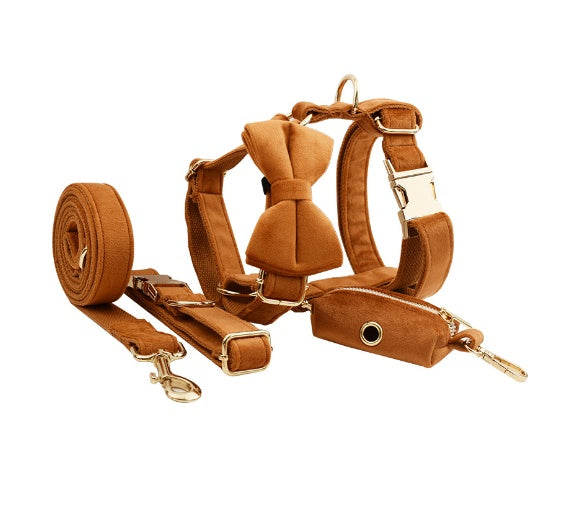 Avioré™ Collection Premium en Velours pour Animaux
