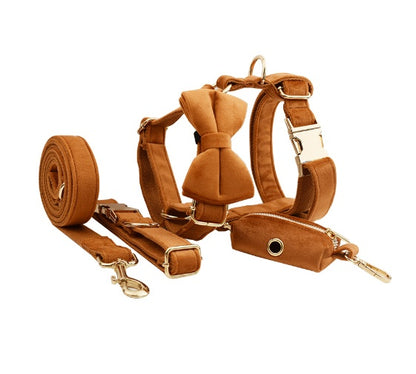 Avioré™ Collection Premium en Velours pour Animaux