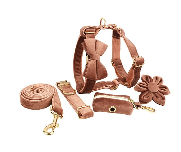 Avioré™ Collection Premium en Velours pour Animaux