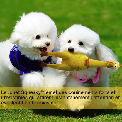 Squeaky™ Toy