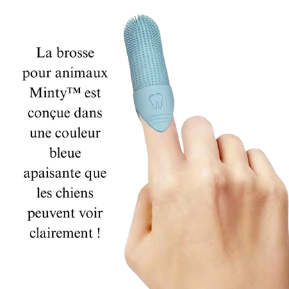 Minty™ Pet Brush
