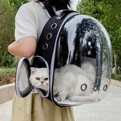 Toto™ Capsule Backpack