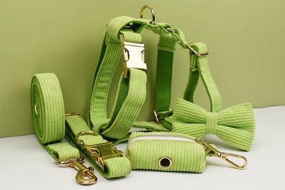 Velora™ Collection Premium en Velours pour Animaux (Vert fluorescent)