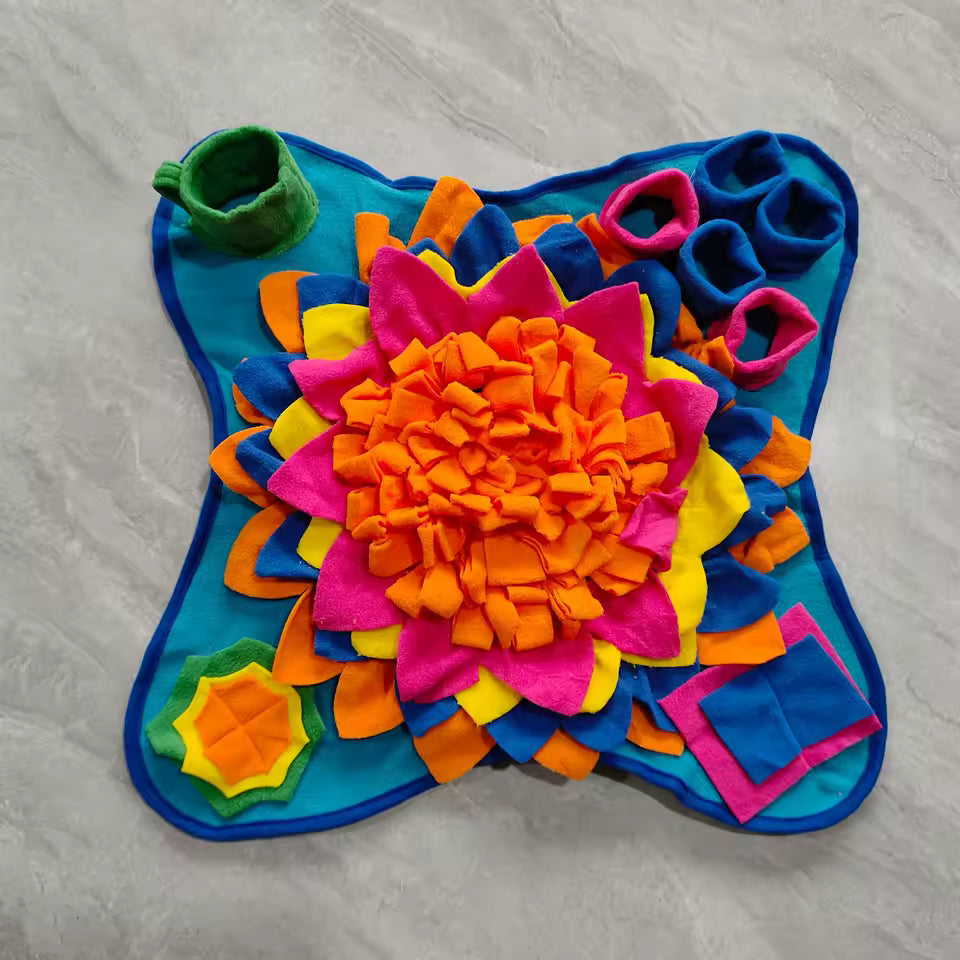 Tapis de jeu Kiki™ Snuffle