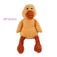 Canard