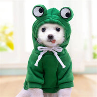 Grenouille verte