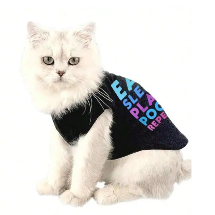 Drippy™ Eat Sleep Play Poop Repeat