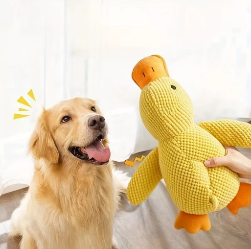 Jouet pour chien Duckie™