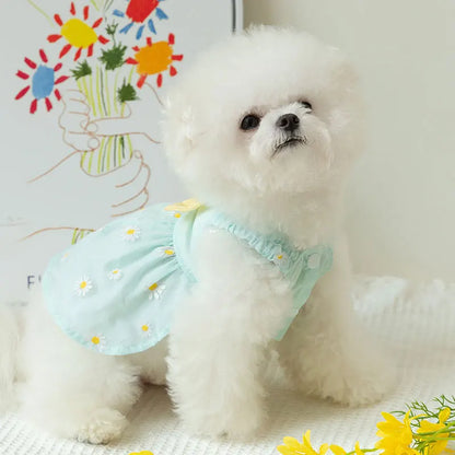 Bella™ Princess Mesh Dress