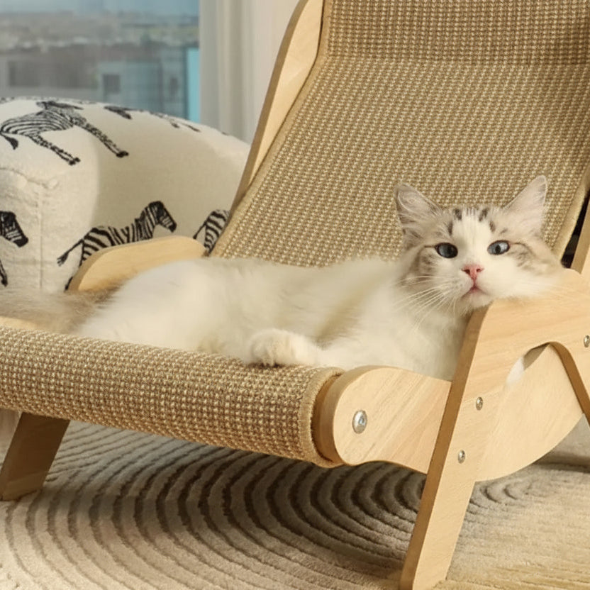 Virello™ Chat paresseux et silencieux
