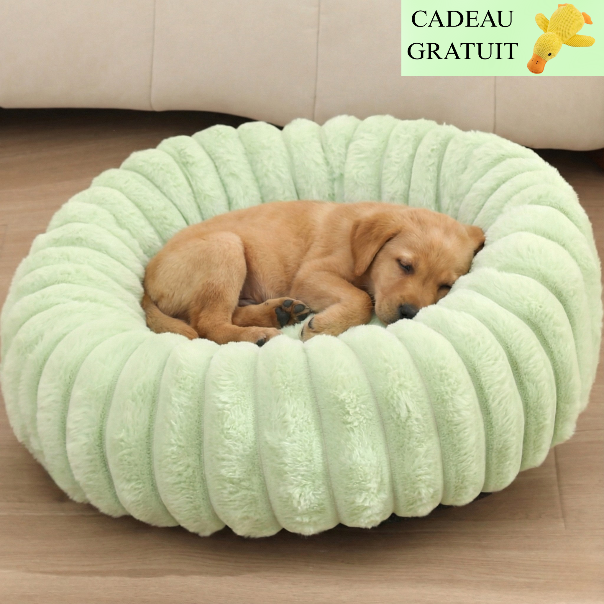 Lit citrouille Luna™