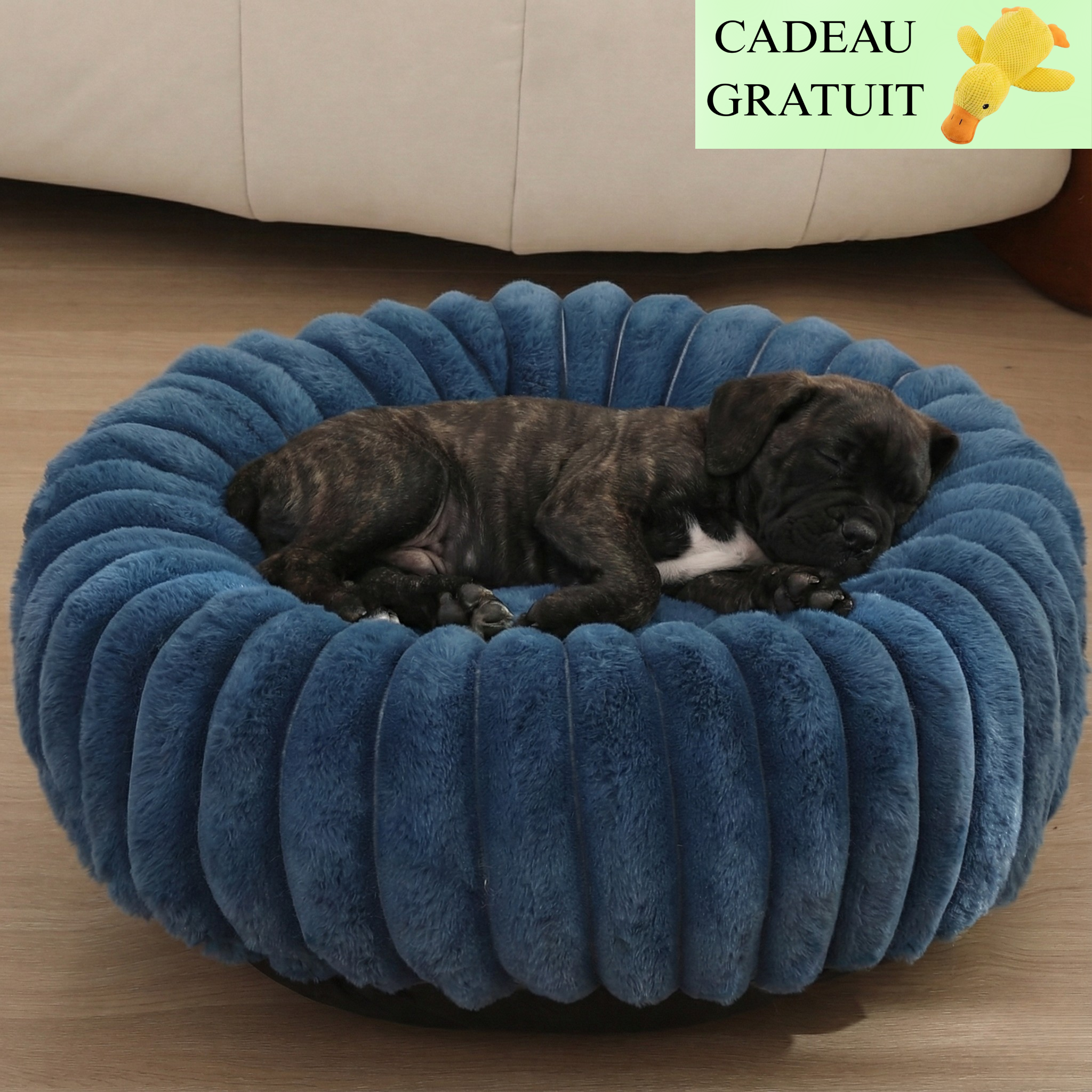 Lit citrouille Luna™