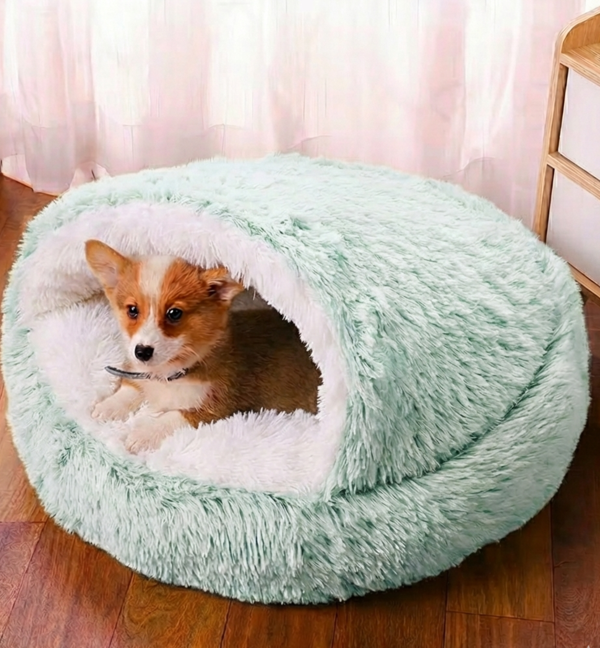 CloudPaw™ Winter Pet Bed (Plushy) + FREE Gift 🎁