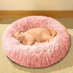 CalmNest™ Pet Bed + FREE Gift 🎁