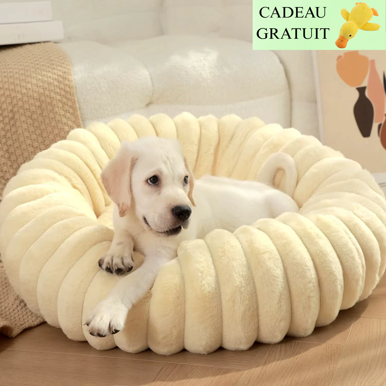 Lit citrouille Luna™