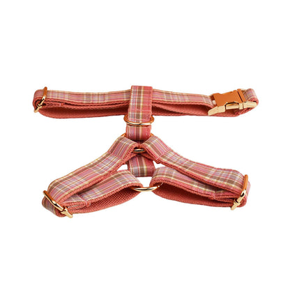 Arlune™ Elegant Harness Set