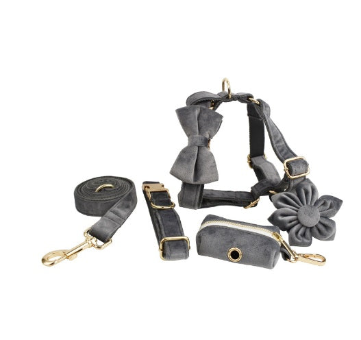 Avioré™ Collection Premium en Velours pour Animaux