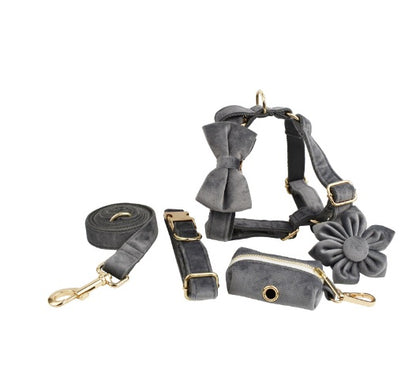 Avioré™ Collection Premium en Velours pour Animaux