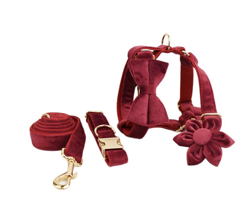 Avioré™ Collection Premium en Velours pour Animaux