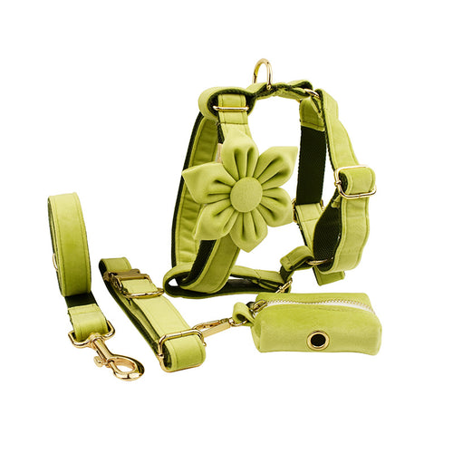 Aureli™ Collection Premium en Velours pour Animaux