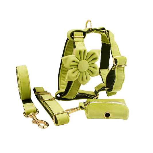 Aureli™ Velvet Premium Pet Collection