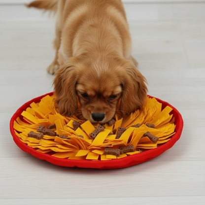 Tapis de détection olfactive interactif Woof™