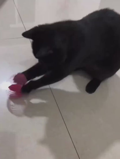 Puchi™ Spring Mouse Toy